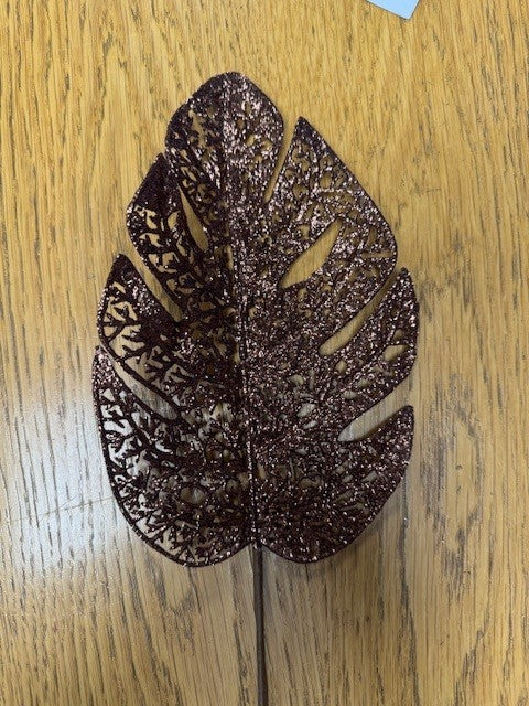 Brown Cheese Plant Leaf - Pack of 10