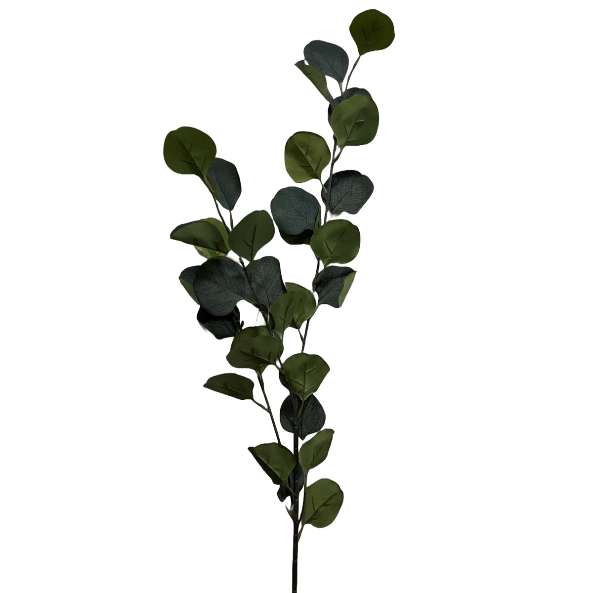 Silver Dollar Eucalyptus Spray Green - 6pcs