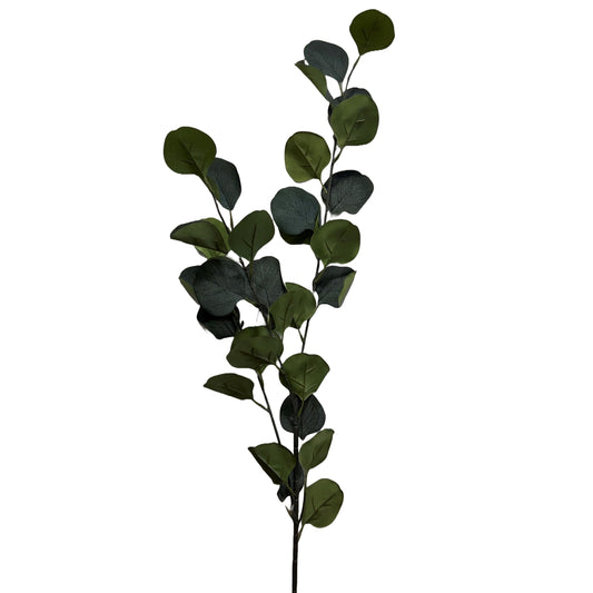 Silver Dollar Eucalyptus Spray Green - 6pcs