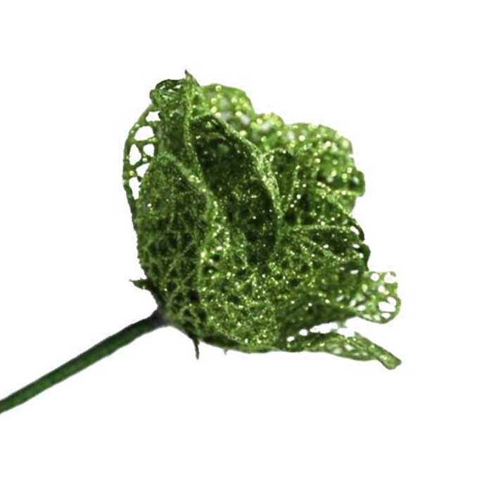 5Inch Green Skeleton Rose - Pack of 10