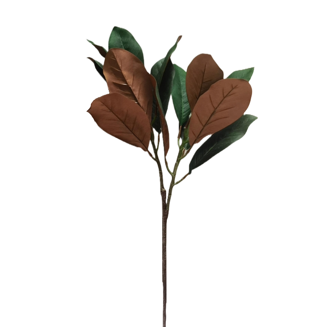 57cm Magnolia Leaf 14 leaves - Pack of 12