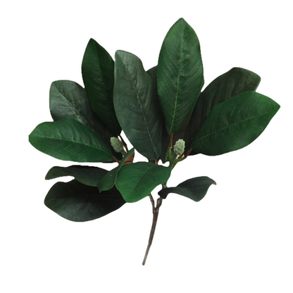 57cm Magnolia Leaf 14 leaves - Pack of 10