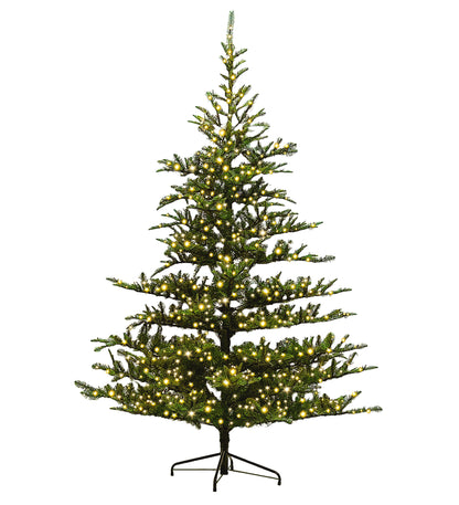 7.5ft Nordmann Spruce Christmas Tree - 1000 2Chip LEDs