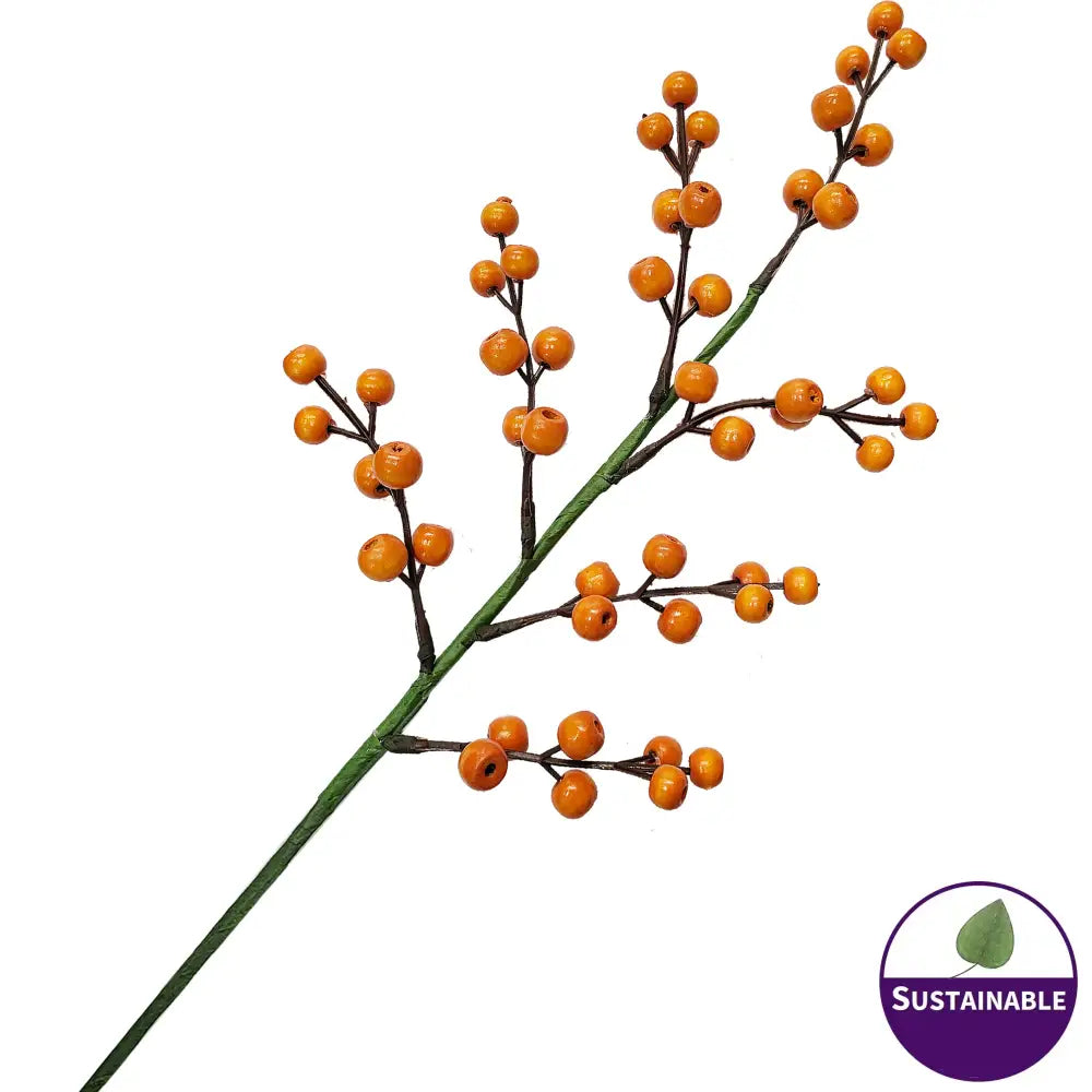 Orange Wooden Berries - Pack of 10
