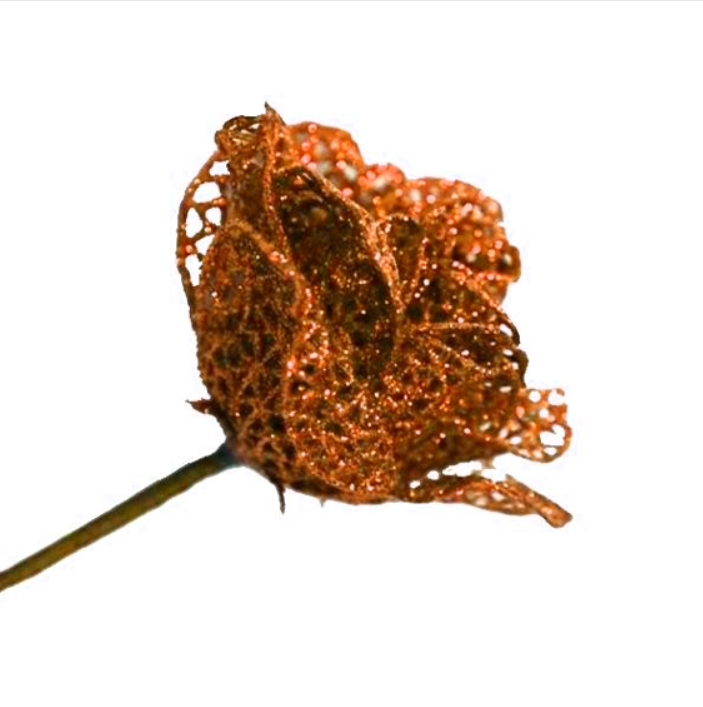 5Inch Orange Skeleton Rose - Pack of 10